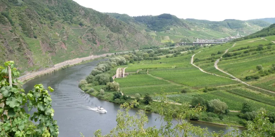 Die Moselschleife bei Bremm mit Weinbergen